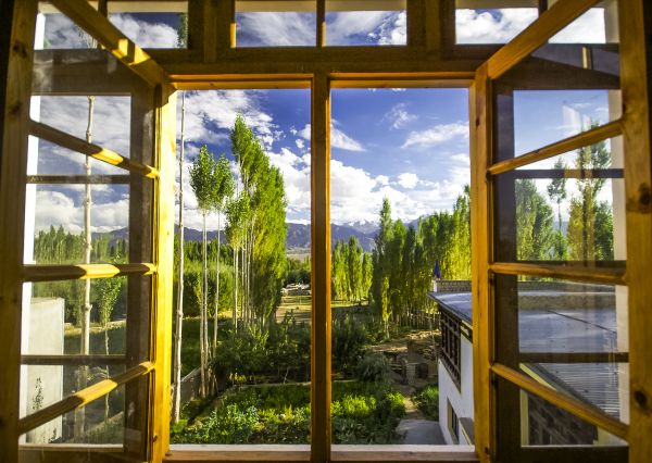Cost of Wood Window Replacement in Sebring